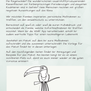 Regenwald Projekt