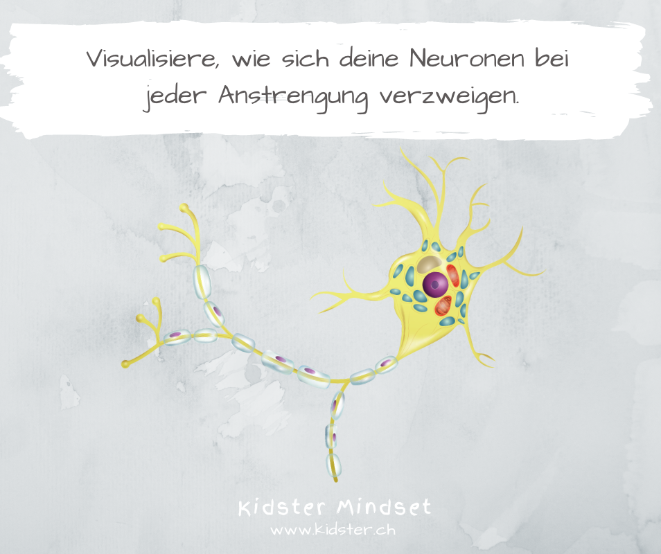 Neuronen