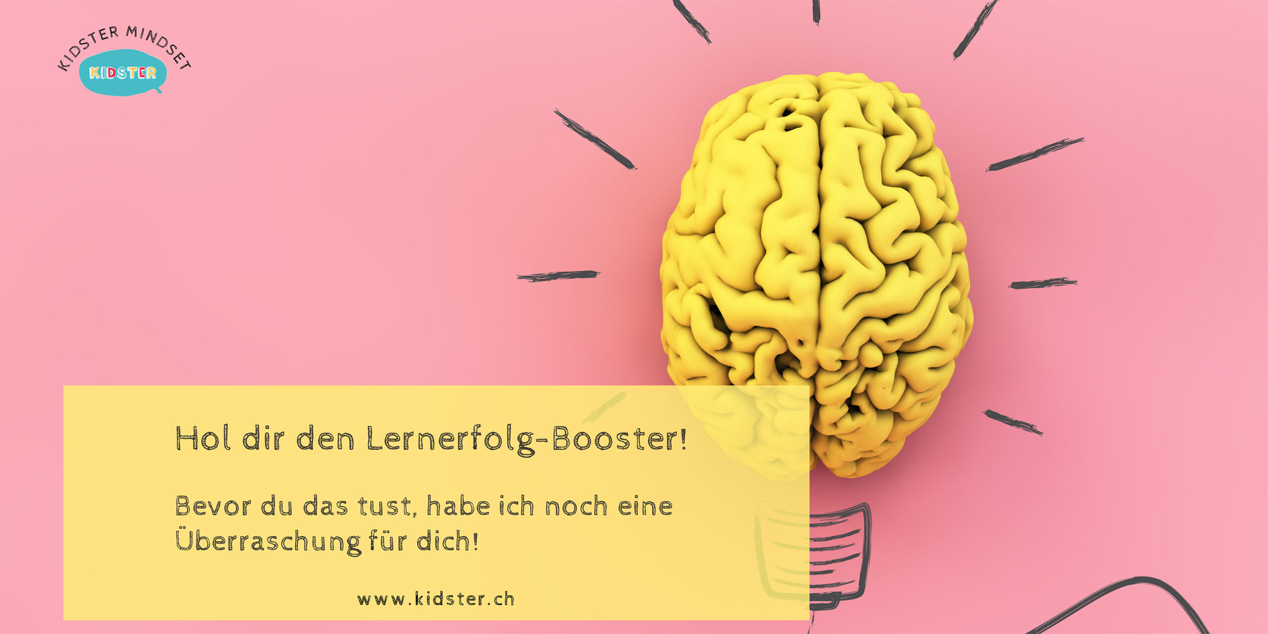 wordpress banner - 1
